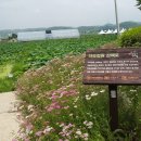 관곡지약국 이미지