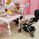 [리안] 프라임라이트 단점이 없는게 단점인 휴대용유모차 사용후기 총평