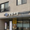 달빛과일화성
