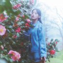 까멜리아 엘르