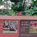 육지 이미지
