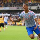 그린우드 이미지