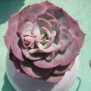 튀는아이들 이미지