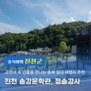 정송강사 진입로 가로수 | 가볼만한 곳, 진천 여행> 교과서 속 인물을 만나는 충북 실내 여행지 추천, 진천 송강문학관, 정송강사