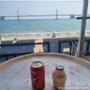 네모강아지 | 광안리 오션뷰 핫플 광안비치파크 네모네