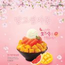 설빙 - 화성시 수노을중앙로 136 | 설빙