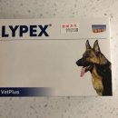 라이펙스 이미지