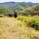 삼가제일부동산공인중개사사무소 이미지
