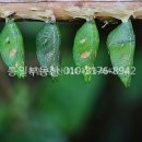 회원동128 이미지