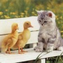 밥이면&밥마다 이미지