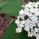 탑골약수터 이미지