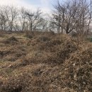 예스부동산중개주식회사 이미지