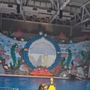 오션 아레나 이미지