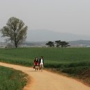 안성농장 Daum카페