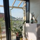 펫밀리샵 이미지