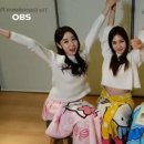 스텔라 이미지