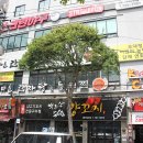 스트라이크존시지 이미지