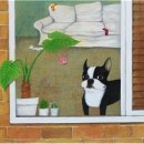 펫갤러리 이미지