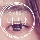 미모당 이미지