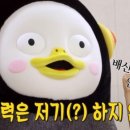 소원유치원 이미지