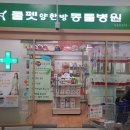 쿨펫 양한방 동물병원 이미지