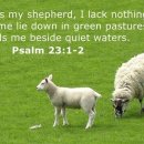 Verse of the day and prayer_260606 이미지