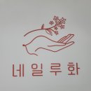 네일루화