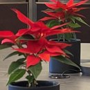 경원치과의원 이미지