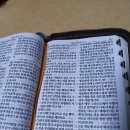 미국인의 위로 이미지
