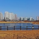 모산골 공원 매일일보