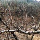 손지농장 이미지