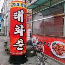 태화춘 이미지