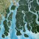 CW-2121-01 이미지