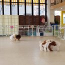 끼리끼리 이미지