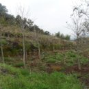 상효동-3 이미지