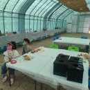 이인농장 이미지