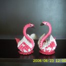 백조농장 이미지