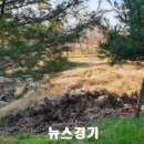 강변유원지길 이미지