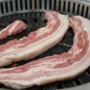 두툼 - 강서구 | 두툼