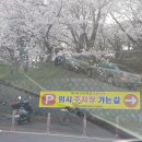 선진공원 주차장 이미지