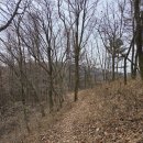 백덕산 등산로 주차장 | (28/100) 백덕산 (영월) 25년 19차 / 산림청 #41