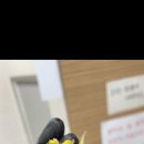 하수구막힘변기막힘싱크대막힘 이미지