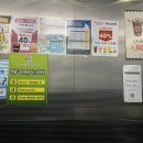 핫독빌리지 | [강남영어회화학원후기] 10월 프린서플어학원(PSE) 오전모닝델타 오프라인 평일 정규반 후기