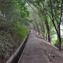 도장공원길 이미지