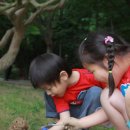 산인-6 이미지
