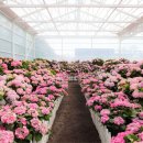 신례동로 이미지