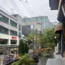 NEW MOON | 🌙 광화문 뉴문 (NEW MOON) 중식당 점심 코스 회식 예약 후기