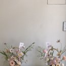 멜트스튜디오 이미지