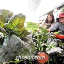 남양주 유기농박물관 이미지