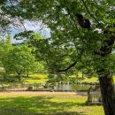 이 뷰 진짜 무료임 입장료 없는 국내 감성 여행지 모음 이미지